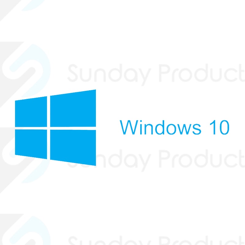 Windows 10 Professional.
