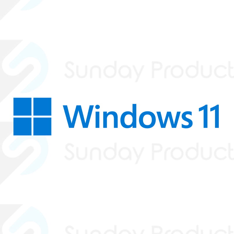 Windows 11 Professional.