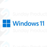 Windows 11 Professional